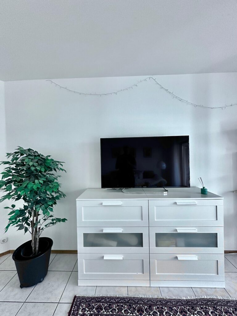 Sunny 2-Room Apartment with Two Terraces in Vallendar - Bild 8