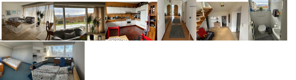 Larger Apartment (>750sqf) with Sunny Terace