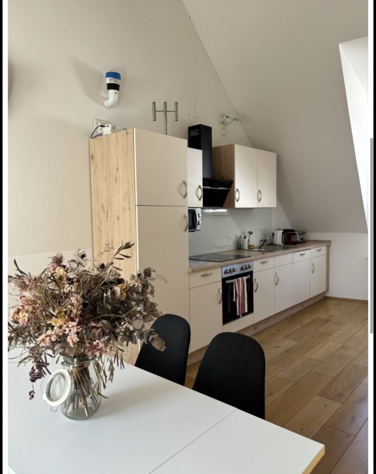 All Girls Shared Flat :) - Bild 3