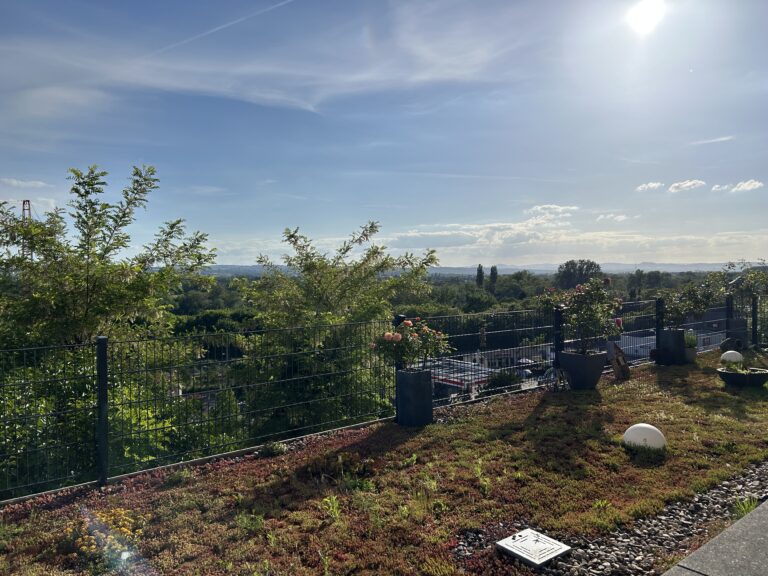 Furnished Apartment with View over the Rhine Valley – 5 Min to WHU - Bild 8
