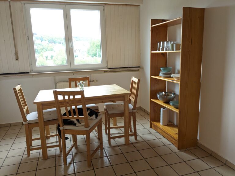 600 € warm – all-in: WG-Zimmer auf der Rheininsel, 10 Min. zur WHU - Bild 6